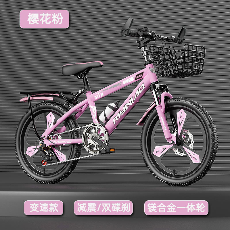 18-24 Inch Adult Mountain Bike - огляд і ціна Cycling Low Gear