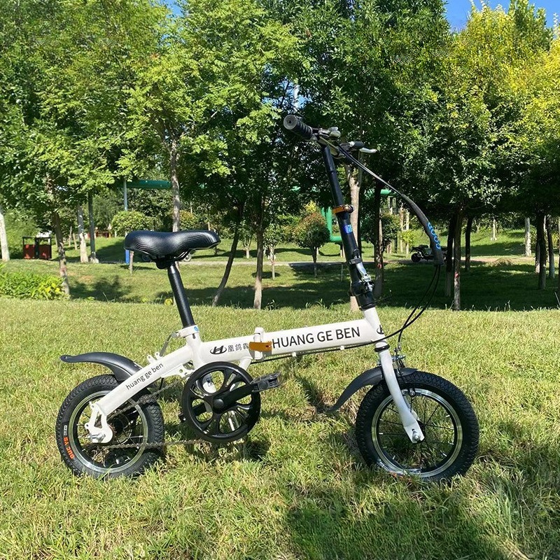 20 Inch Folding Bikes Adult Va - огляд і ціна Cycling Low Gear